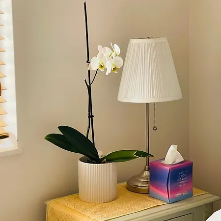 Lovely 1 Bedroom Apartment In The Heart Of Chelsea Лондон Экстерьер фото